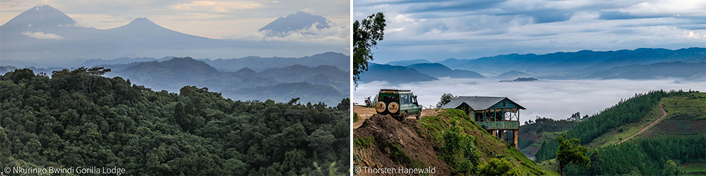 Bwindi Impenetrable Forest Views